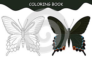 Coloring book butterfly. Butterfly Sailboat Maak