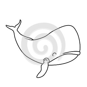 Coloring book: cachalot or sperm whale character