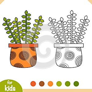 Coloring book. Cartoon collection of Houseplants, Portulacaria afra