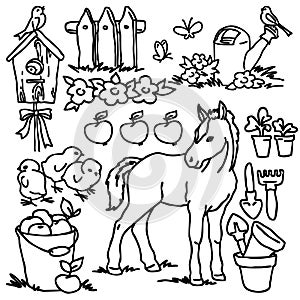 Coloring book, Cartoon farm animals