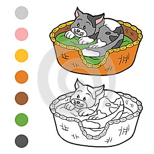 Coloring book (cat in a basket on a pillow)