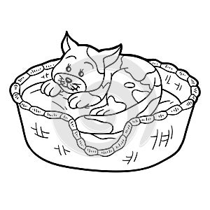 Coloring book (cat in a basket on a pillow)