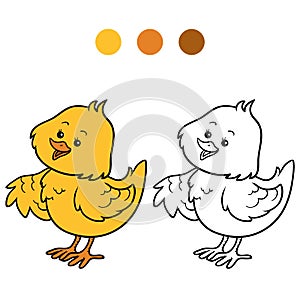 Coloring book (chick)