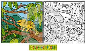 Coloring book for children (chameleon)