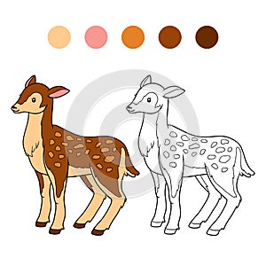 Coloring book for children (deer, doe)
