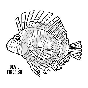 Coloring book, Devil firefish
