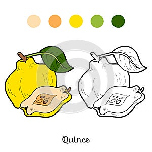 Coloring book for children: fruits and vegetables (quince) photo