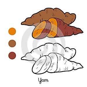 Coloring book for children: fruits and vegetables (yam) photo