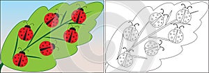 Coloring book for children. Ladybugs cartoon on leaf.