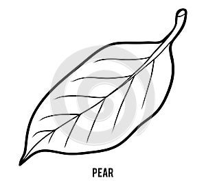 Coloring book for children, Pear leaf