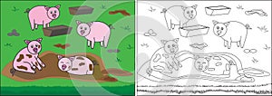 Coloring book for children. Pigs in the mud on farm, cartoon.