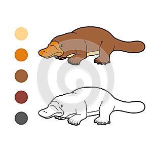 Coloring book for children: platypus animals