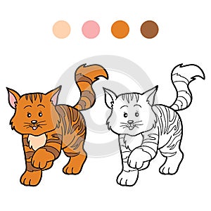 Coloring book for children (striped cat)