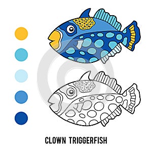 Coloring book, Clown triggerfish