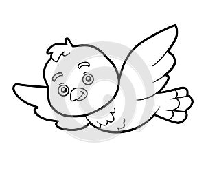 Coloring book, coloring page (bird)