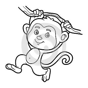 Coloring book, coloring page (monkey)