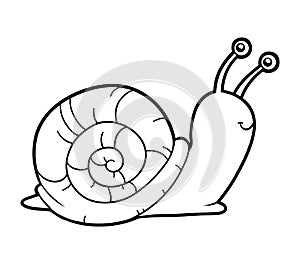 Coloring book, coloring page (snail)