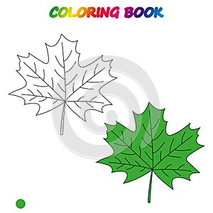 coloring book. Coloring page to educate preschool kids .