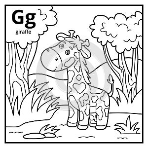 Coloring book, colorless alphabet. Letter G, giraffe