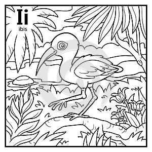 Coloring book, colorless alphabet. Letter I, ibis