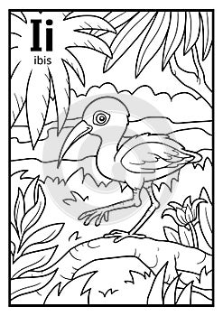 Coloring book, colorless alphabet. Letter I, ibis