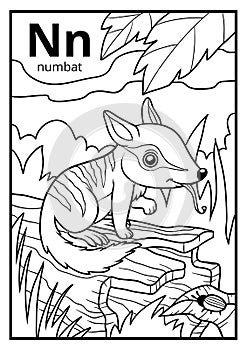 Coloring book, colorless alphabet. Letter N, numbat