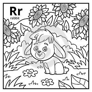 Coloring book, colorless alphabet. Letter R, rabbit