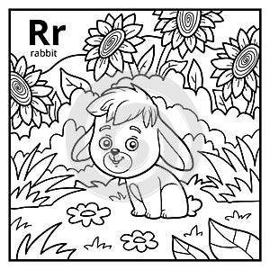 Coloring book, colorless alphabet. Letter R, rabbit photo