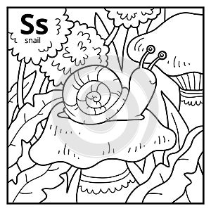 Coloring book, colorless alphabet. Letter S, snail