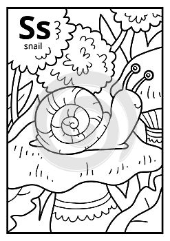 Coloring book, colorless alphabet. Letter S, snail