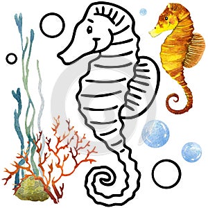 Coloring book coral reef fauna. Cartoon fish illustration for kid Entertainment