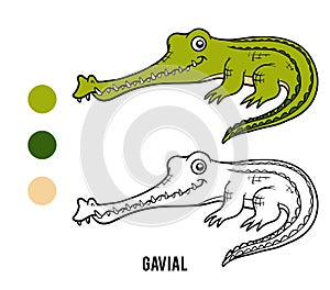 Coloring book, crocodile Gavial