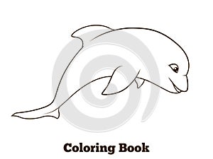 Coloring book dolphin cartoon educational