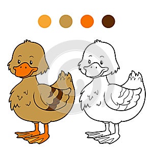 Coloring book (duck)