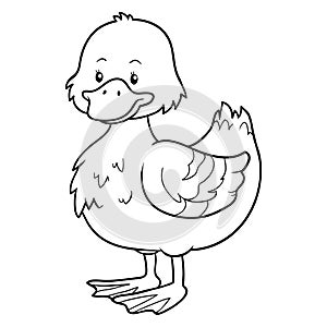 Coloring book (duck)