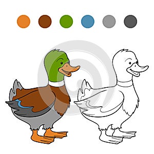 Coloring book (duck)