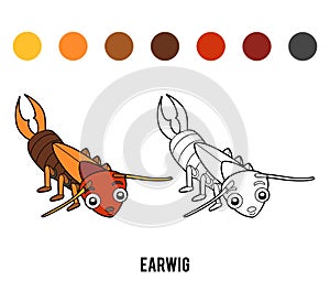 Coloring book, Earwig