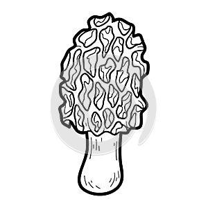 Coloring book. Edible mushrooms, morel