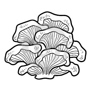 Coloring book. Edible mushrooms, oyster