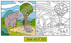 Coloring book (elephant)