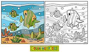 Coloring book (fish family)