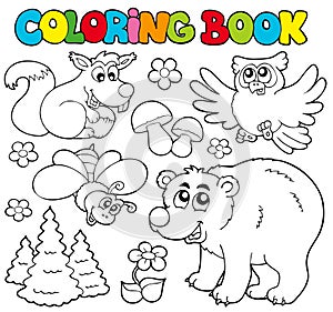 Colorante un libro Bosque los animales 1 