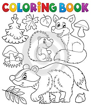 Coloring book forest wildlife theme 1