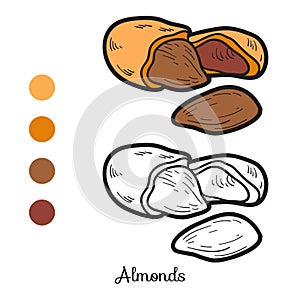 Coloring book: fruits and vegetables (almonds)