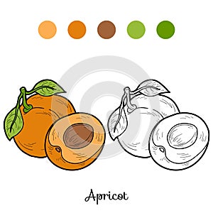 Coloring book: fruits and vegetables (apricot)
