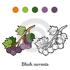 Coloring book: fruits and vegetables (black currants)