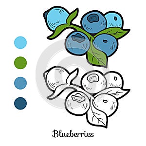 Coloring book: fruits and vegetables (blueberries)
