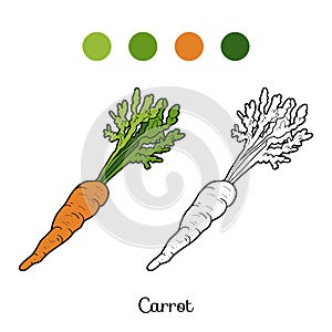 Coloring book: fruits and vegetables (carrot)