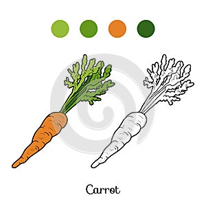 Coloring book: fruits and vegetables (carrot) photo
