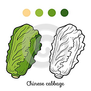 Coloring book: fruits and vegetables (chinese cabbage)